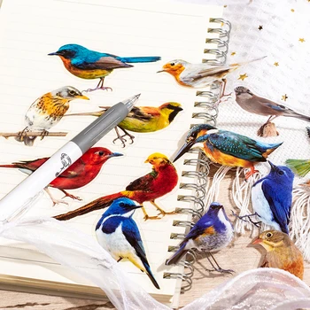 6 packs/LOT kuşlar serisi retro yaratıcı dekorasyon DIY PET çıkartmalar 2